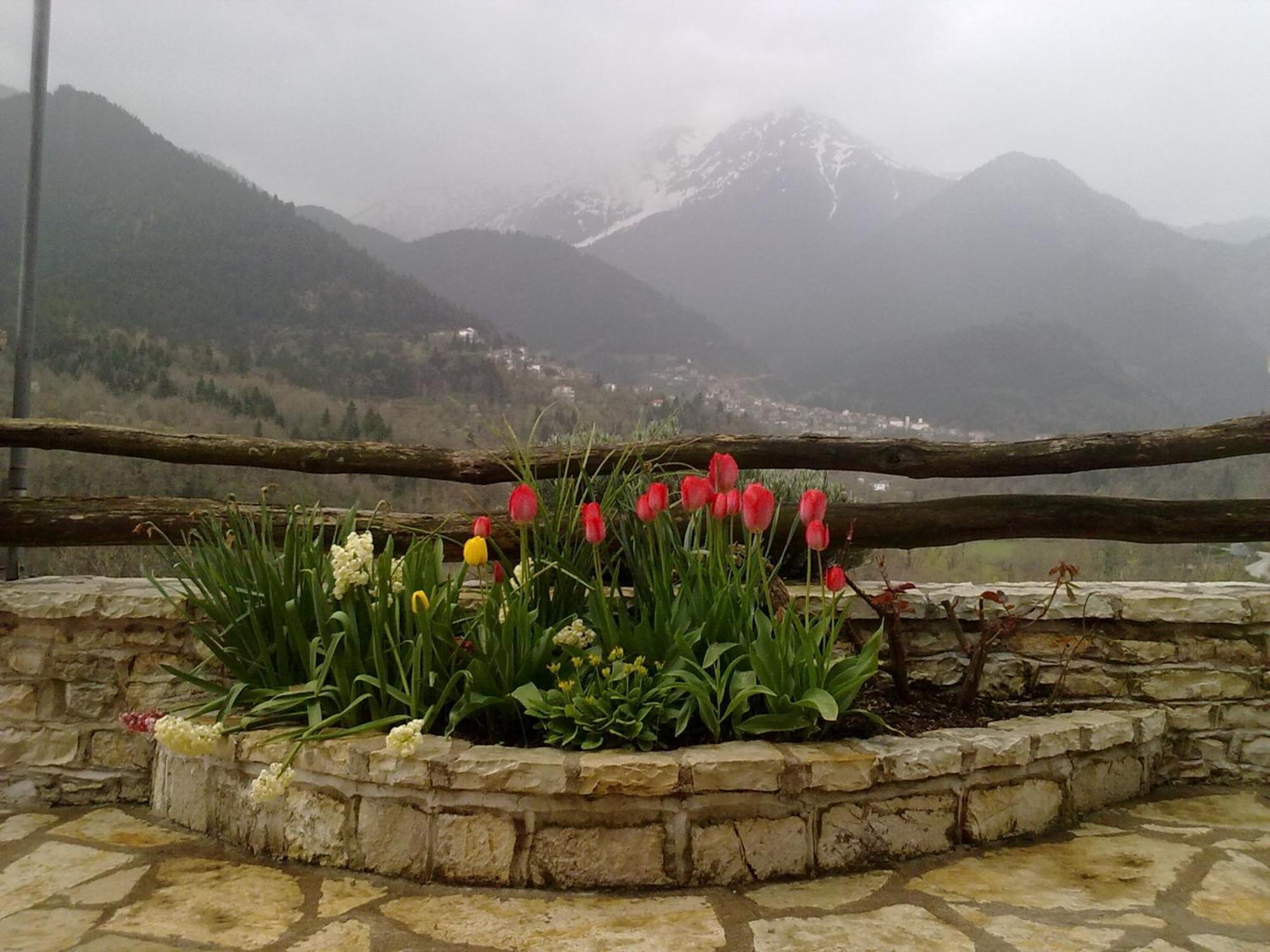 Rizoma Guesthouse Mikrón Khoríon Exteriör bild